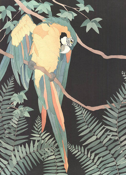 DAN GOAD Macaw, 1989