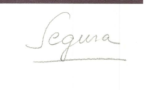 LUIS SEGURA Bouquet - Signed