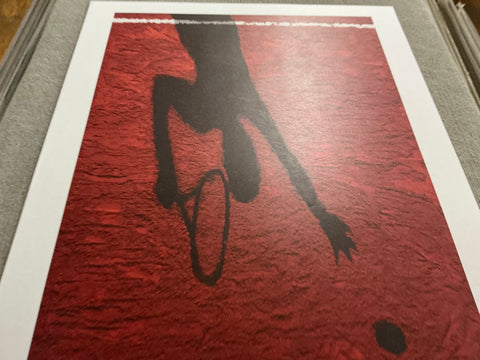 VIK MUNIZ Roland Garros French Open, 2017