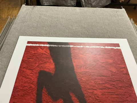 VIK MUNIZ Roland Garros French Open, 2017