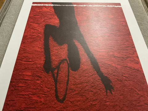 VIK MUNIZ Roland Garros French Open, 2017