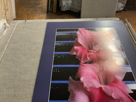 JAMES CORDES Gladiolus, 1983