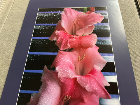 JAMES CORDES Gladiolus, 1983