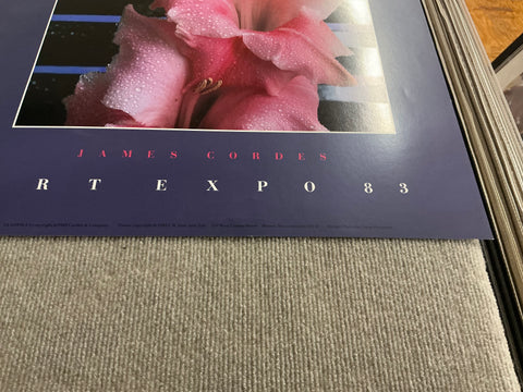 JAMES CORDES Gladiolus, 1983