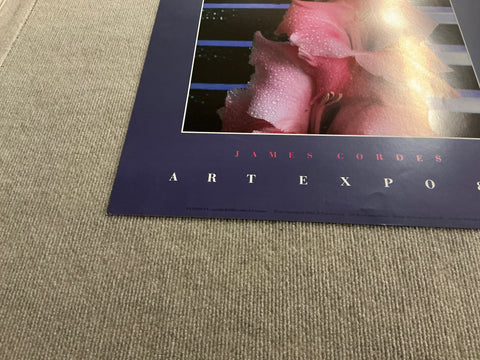 JAMES CORDES Gladiolus, 1983