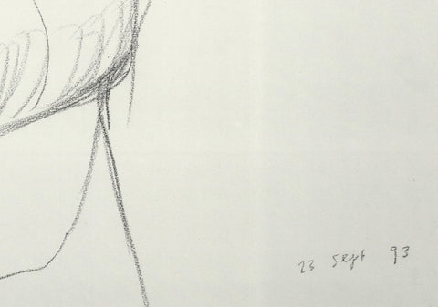 DAVID HOCKNEY Stanley & Boodge, 1993