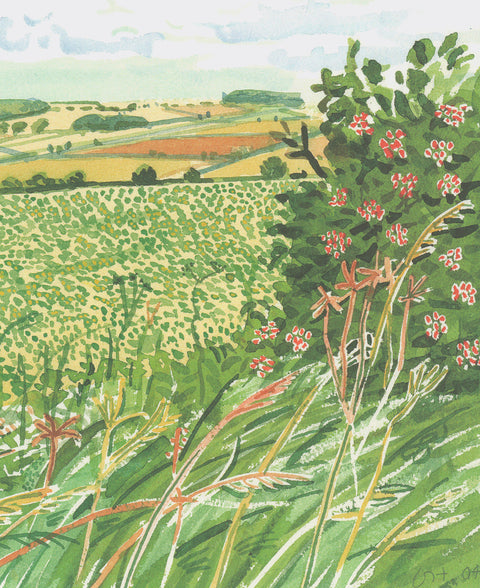 DAVID HOCKNEY Midsummer: East Yorkshire, 2020