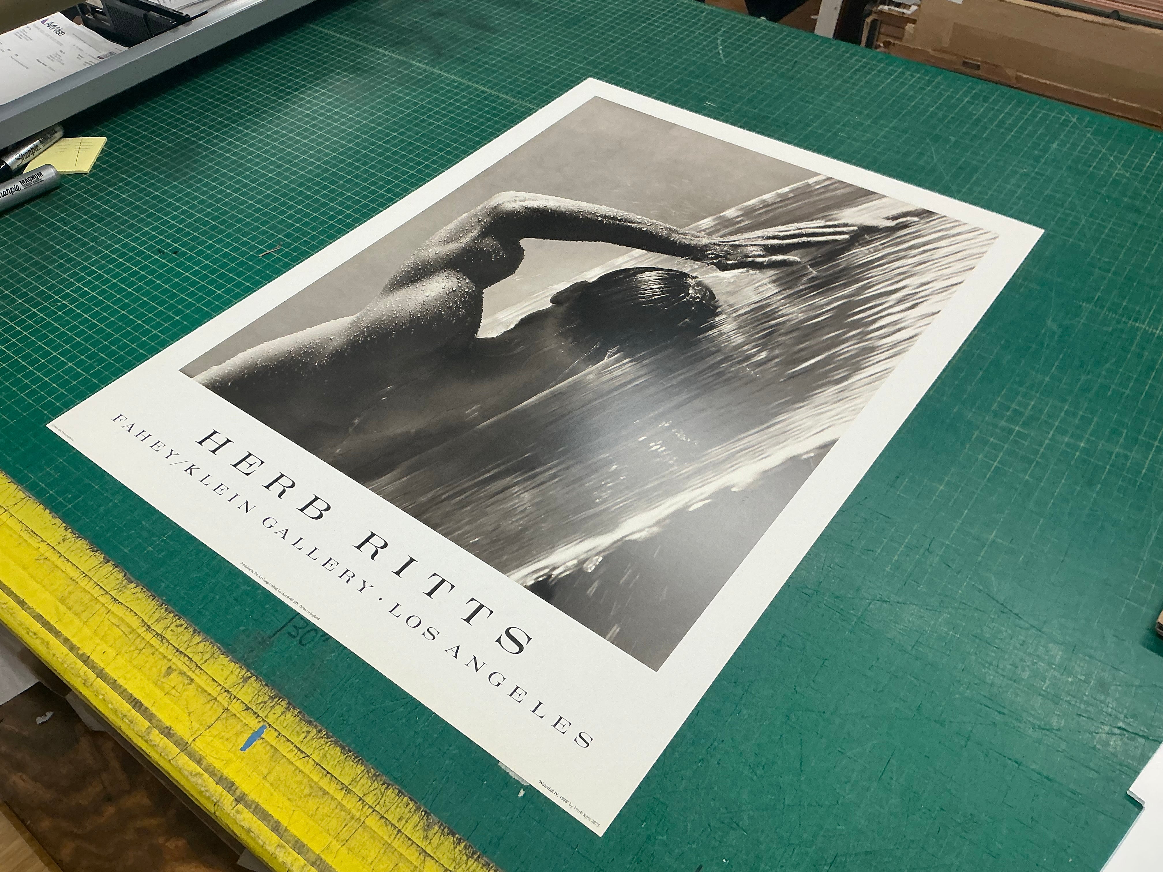 HERB RITTS Waterfall IV, 2002 – ArtWise