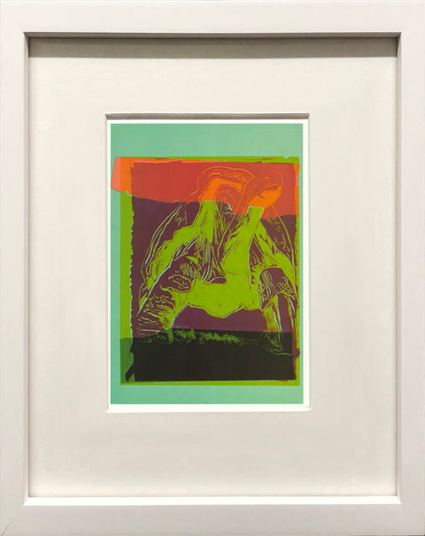 ANDY WARHOL Vanishing Animals: Galapagos Tortoise, 1991