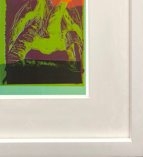 ANDY WARHOL Vanishing Animals: Galapagos Tortoise, 1991