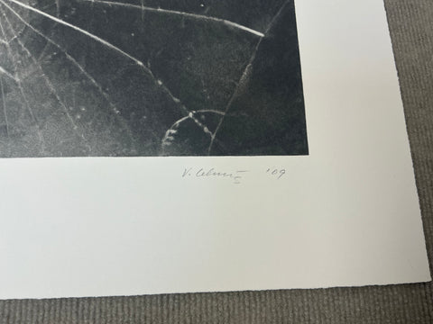 VIJA CELMINS Spider Web, 2009 - Signed