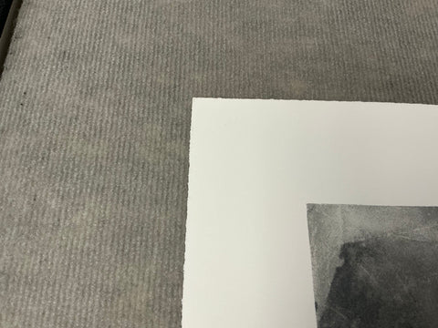 VIJA CELMINS Spider Web, 2009 - Signed