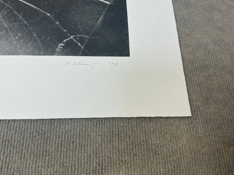 VIJA CELMINS Spider Web, 2009 - Signed