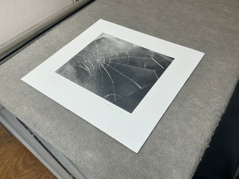 VIJA CELMINS Spider Web, 2009 - Signed