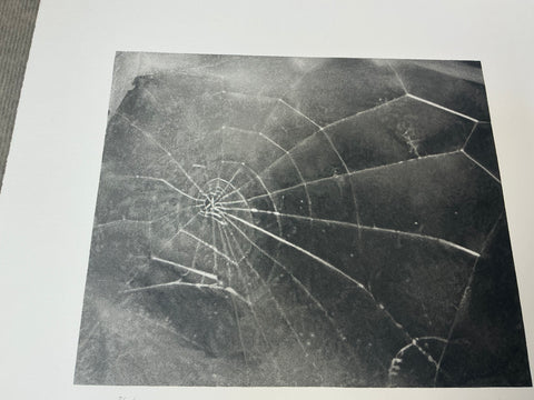 VIJA CELMINS Spider Web, 2009 - Signed