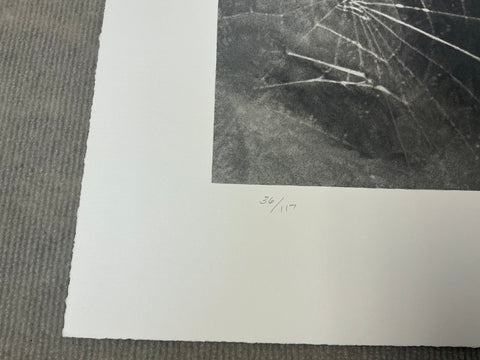 VIJA CELMINS Spider Web, 2009 - Signed