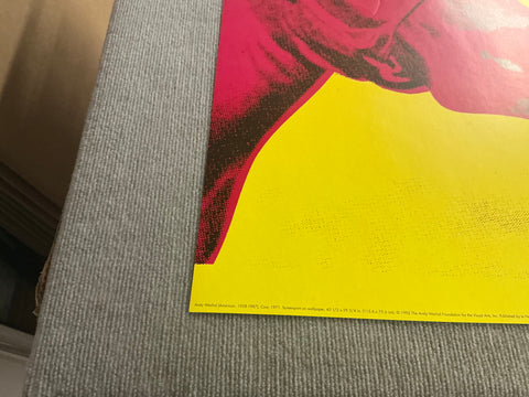 ANDY WARHOL Cow Pink on Yellow, 1966 (small), 1992