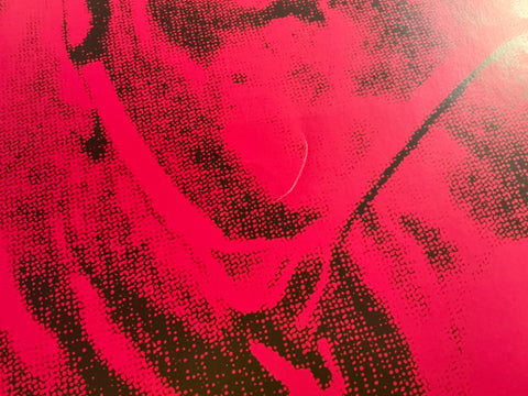 ANDY WARHOL Cow Pink on Yellow, 1966 (small), 1992