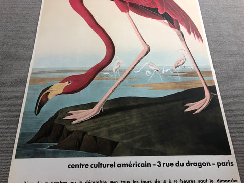 JOHN JAMES AUDUBON American Flamingo, 1960