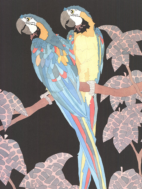 DAN GOAD Macaws, 1989