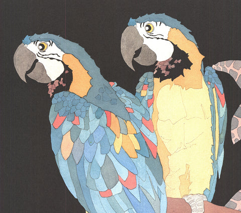 DAN GOAD Macaws, 1989