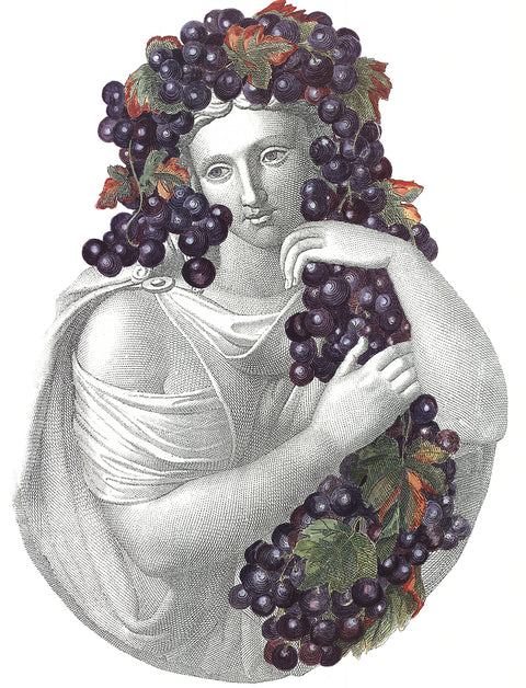 PIERO FORNASETTI Portrait with Grapes