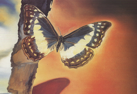 SALVADOR DALI Butterfly Landscape, 1995