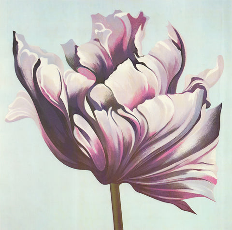 LOWELL NESBITT Parrot Tulip on White, 1982 - Signed