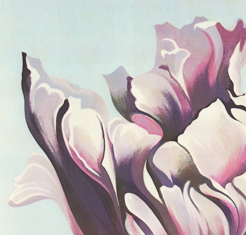 LOWELL NESBITT Parrot Tulip on White, 1982 - Signed