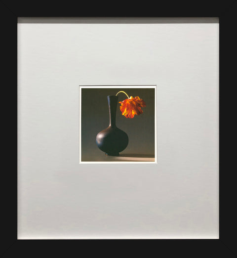ROBERT MAPPLETHORPE Tulip, 1994