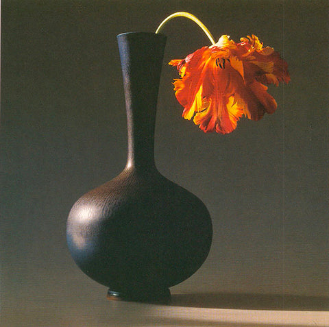 ROBERT MAPPLETHORPE Tulip, 1994