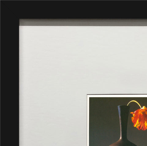 ROBERT MAPPLETHORPE Tulip, 1994