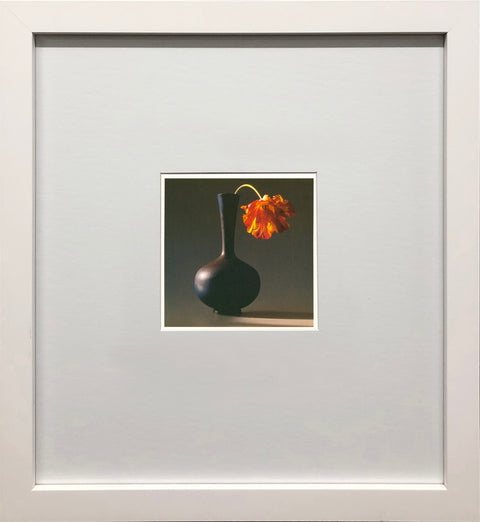 ROBERT MAPPLETHORPE Tulip, 1994
