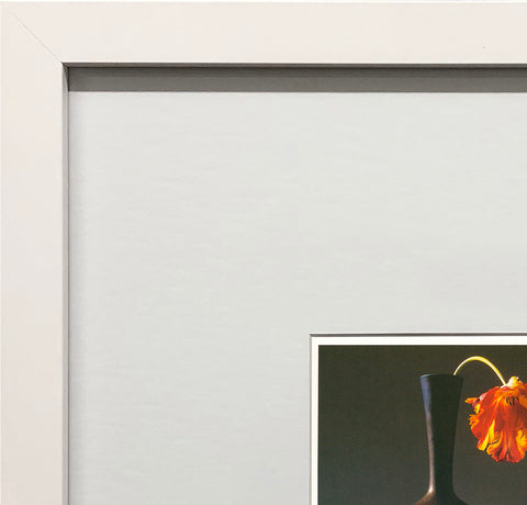 ROBERT MAPPLETHORPE Tulip, 1994