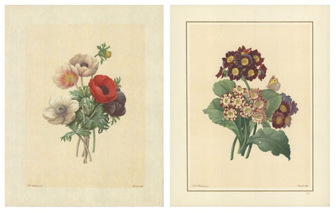 Bundle- 2 Assorted Pierre-Joseph Redoute Vintage Flowers III Lithographs