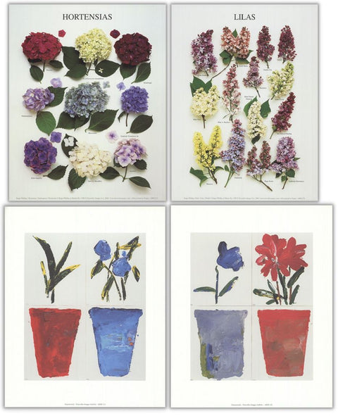 Bundle- 2 Assorted Flower Mini Posters