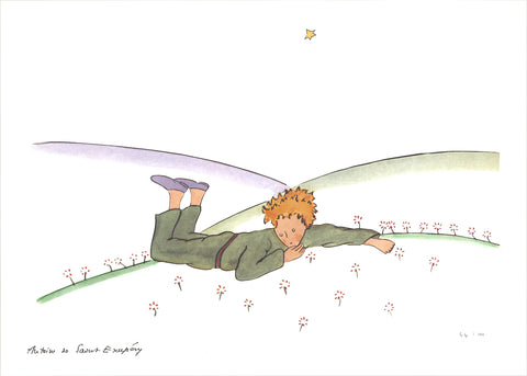 ANTOINE DE SAINT EXUPERY The Little Prince Dreaming, 2015