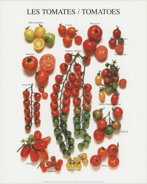 ARTIST UNKNOWN Tomatoes, 1997