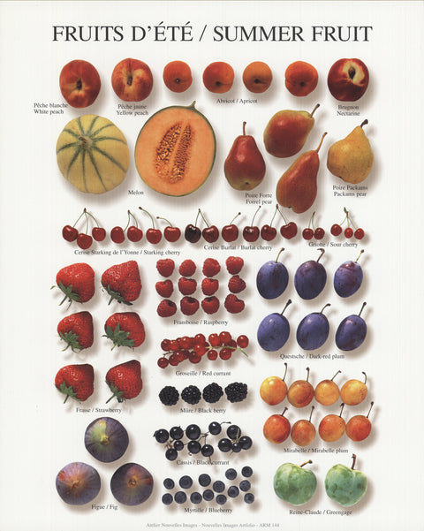 ARTIST UNKNOWN Summer Fruit, 1997