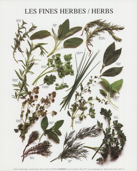 ARTIST UNKNOWN Herbs, 1997