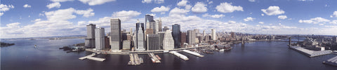JAMES BLAKEWAY New York Panorama, 1994