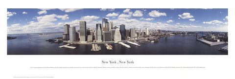 JAMES BLAKEWAY New York Panorama, 1994