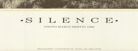 MARCO BERTIN Silence
