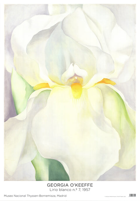 GEORGIA O'KEEFFE White Lily, 2022