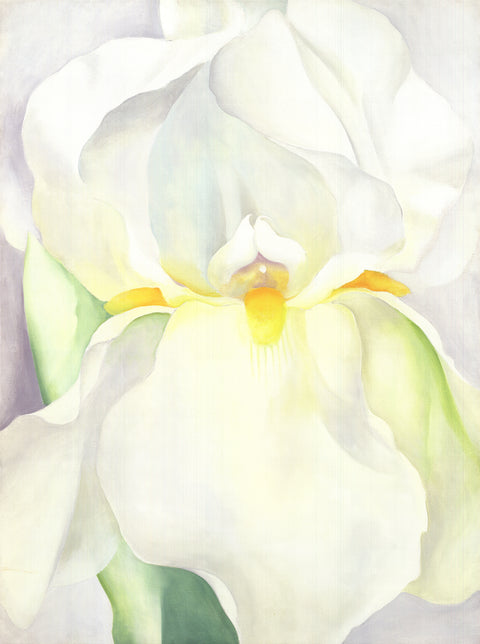 GEORGIA O'KEEFFE White Lily, 2022