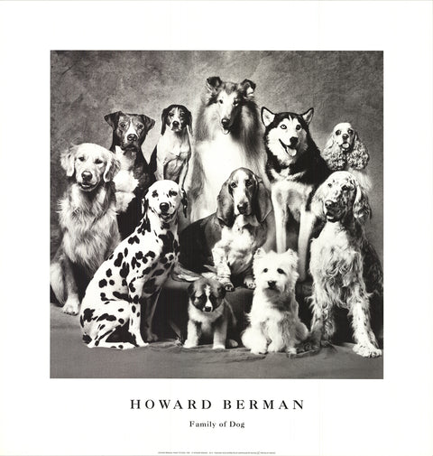 HOWARD BERNMAN Family of Dog, 1989